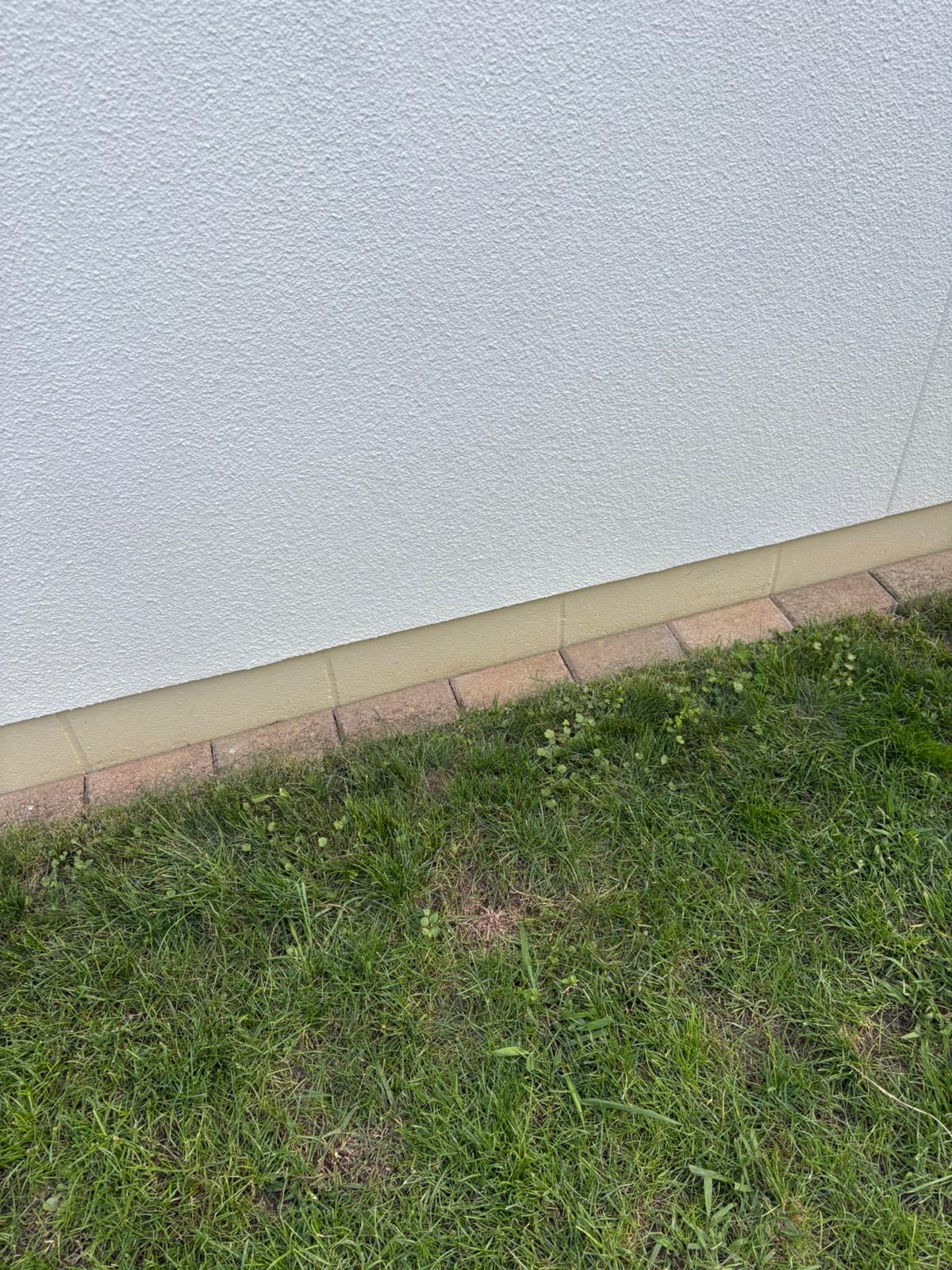 Wall Repair & Repaint