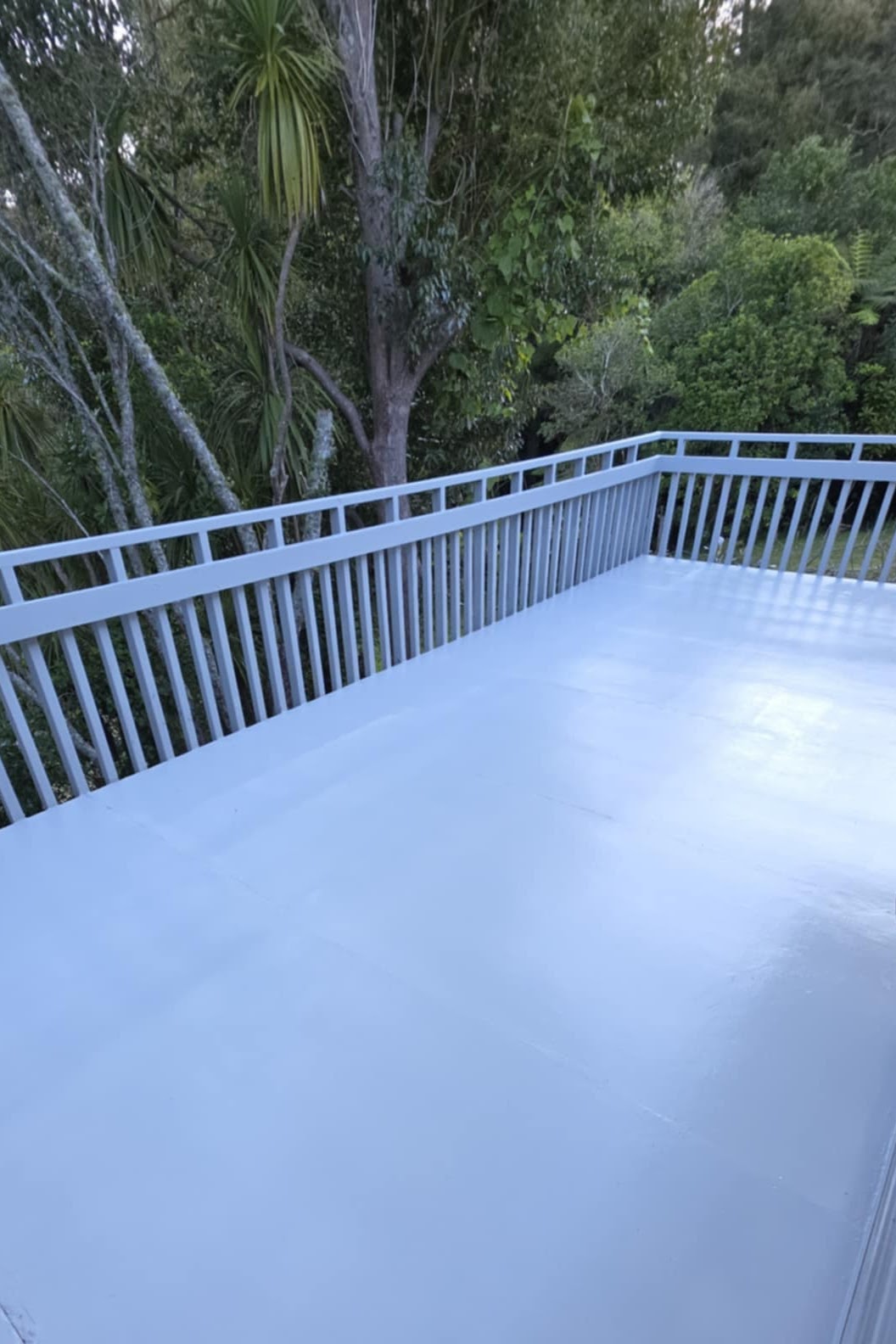 Deck Repair and Repaint